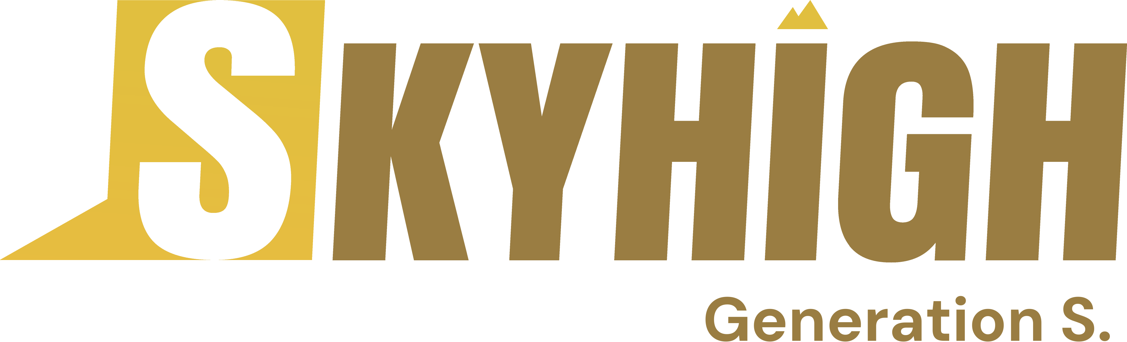 Skyhigh Sales